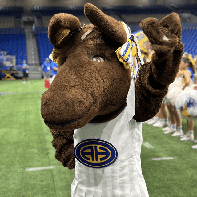 The Alamo Heights Mule mascot on the field at a home game